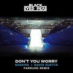 DON'T YOU WORRY(Farruko Remix)-cover