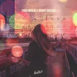 Wanna Know-cover