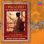 Puccini: La Fanciulla del West / Act 2: L'han ferito ... Che importa-cover