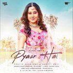 Pyaar Hai-cover