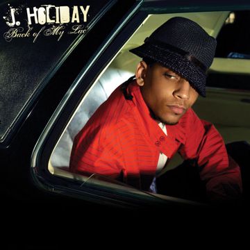 Fly-cover