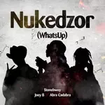 Nukedzor (What&039;s Up)-cover