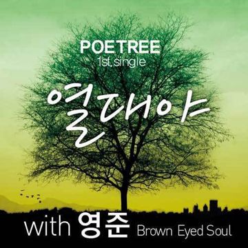 Tropical Night (feat.Young Jun of Brown eyed soul)-cover