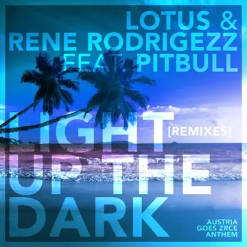 Light up the Dark (feat. Pitbull) (Rodrigo's Festival Edit)-cover