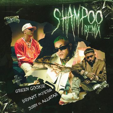 Shampoo Remix-cover
