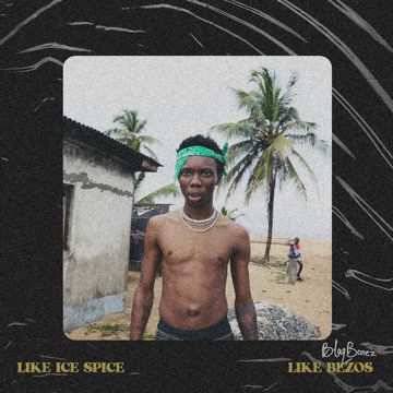 Like Ice Spice-cover