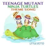 Teenage Mutant Ninja Turtles Theme Song-cover