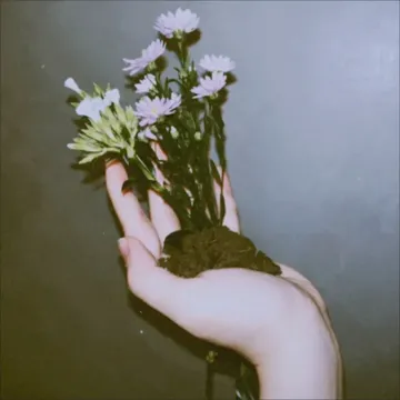 coveImg