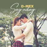 d-mexd-flow-say-nng-cover-image