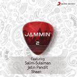 Bole Chudiyan(Jammin')-cover