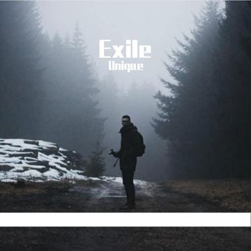 Exile(T.S)（翻自 Various Artists）-cover