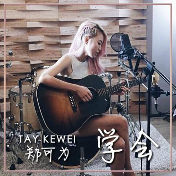 I'll Stand By You-cover