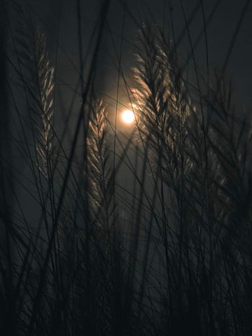 favourite-valo-lage-na-by-saiful-cover-image