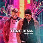 Tere Bina-cover
