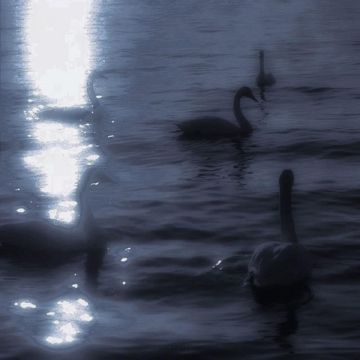 coveImg