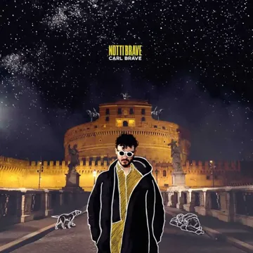 Vita-cover