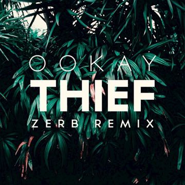 Thief(Zerb Remix)-cover