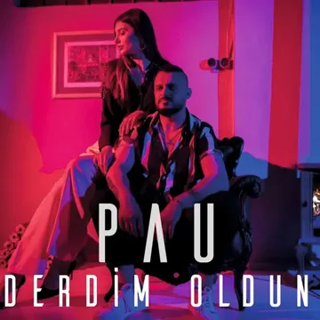 Derdim Oldun-cover