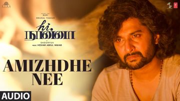 Amizhdhe Nee Hi Nanna Shq-Sukesh-cover