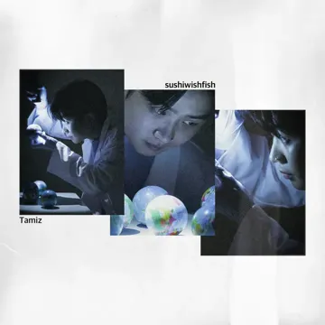 뚝딱뚝딱! (feat. sushiwishfish(스위피))-cover