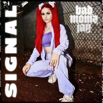 Signal-cover