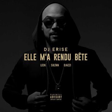 Elle m'a rendu bête (ft. Leck, Sultan & Djazzi)-cover