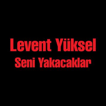 Kara ağaç-cover