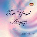 Hum Se Badal Gaya Woh-cover