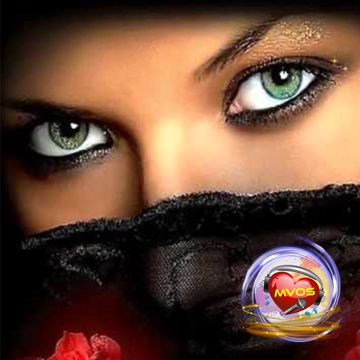 Dune Mosse-cover