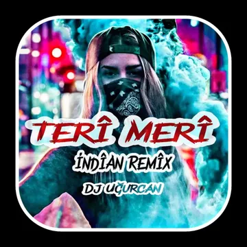 Teri Meri-cover