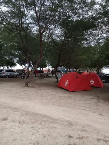 Tajamnya Karang