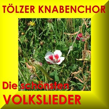 Ich Bin Ein Musikante (Und Komm´ Aus Dem Schwabenland)-cover