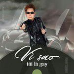 Gọi Đò-cover
