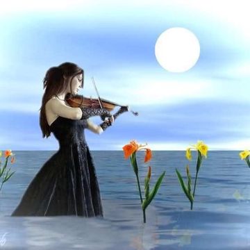 လိူဝ်သေၼွင်ႉဢမ်ႇႁၵ်ႉၽႂ်-cover