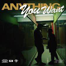 Anything You Want-cover
