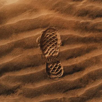 WALK-cover