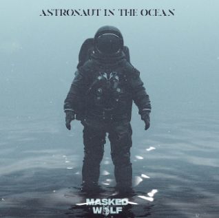 Astronaut In The Ocean-cover