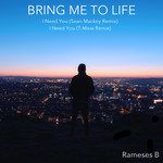 Bring Me To Life-cover