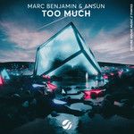 Too Much-cover