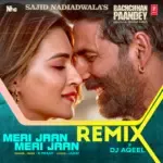 Meri Jaan Meri Jaan Remix(Remix By Dj Aqeel)-cover