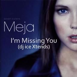 I'm Missing You