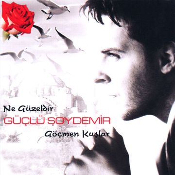 Adı Sevdamı Ne-cover