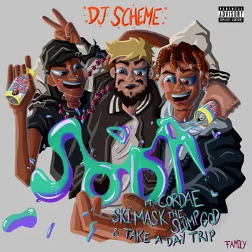 Soda-cover