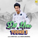 Dil Mera Todke 2-cover