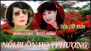 TranTran1307- Tân Cổ Nỗi Buồn Hoa Phượng-cover