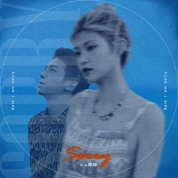 Sorry-cover