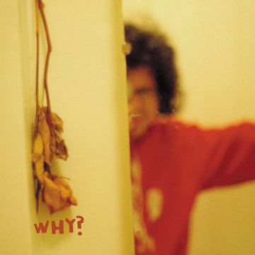 Why-cover