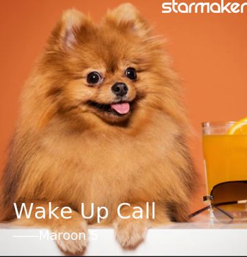 Wake Up Call-cover