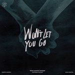 Won't Let You Go(Exbow Remix)-cover