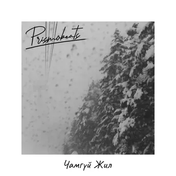 Чамгүй Жил (Remastered)